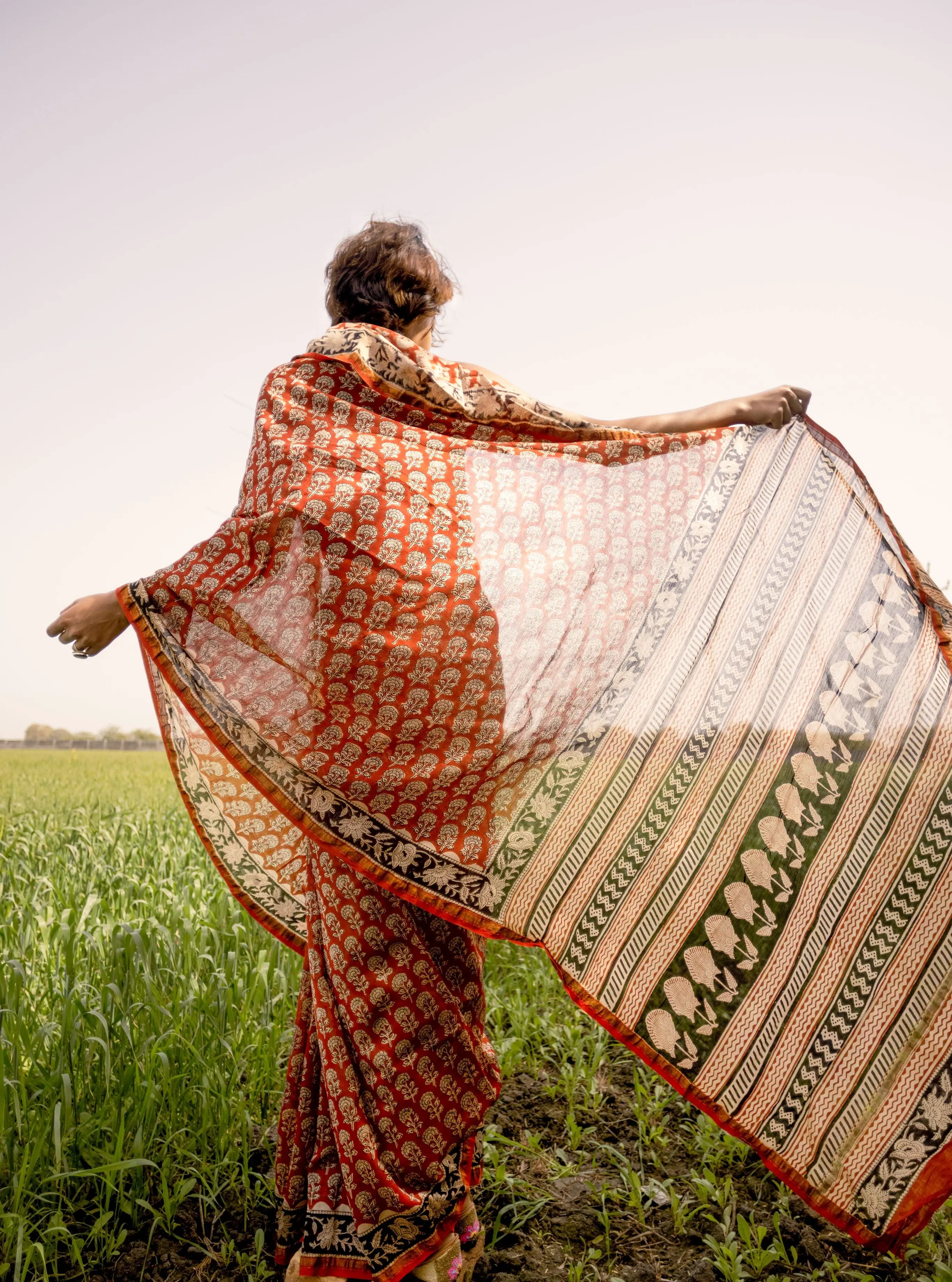 Roheda Gulab Syahi Begar Chanderi Saree