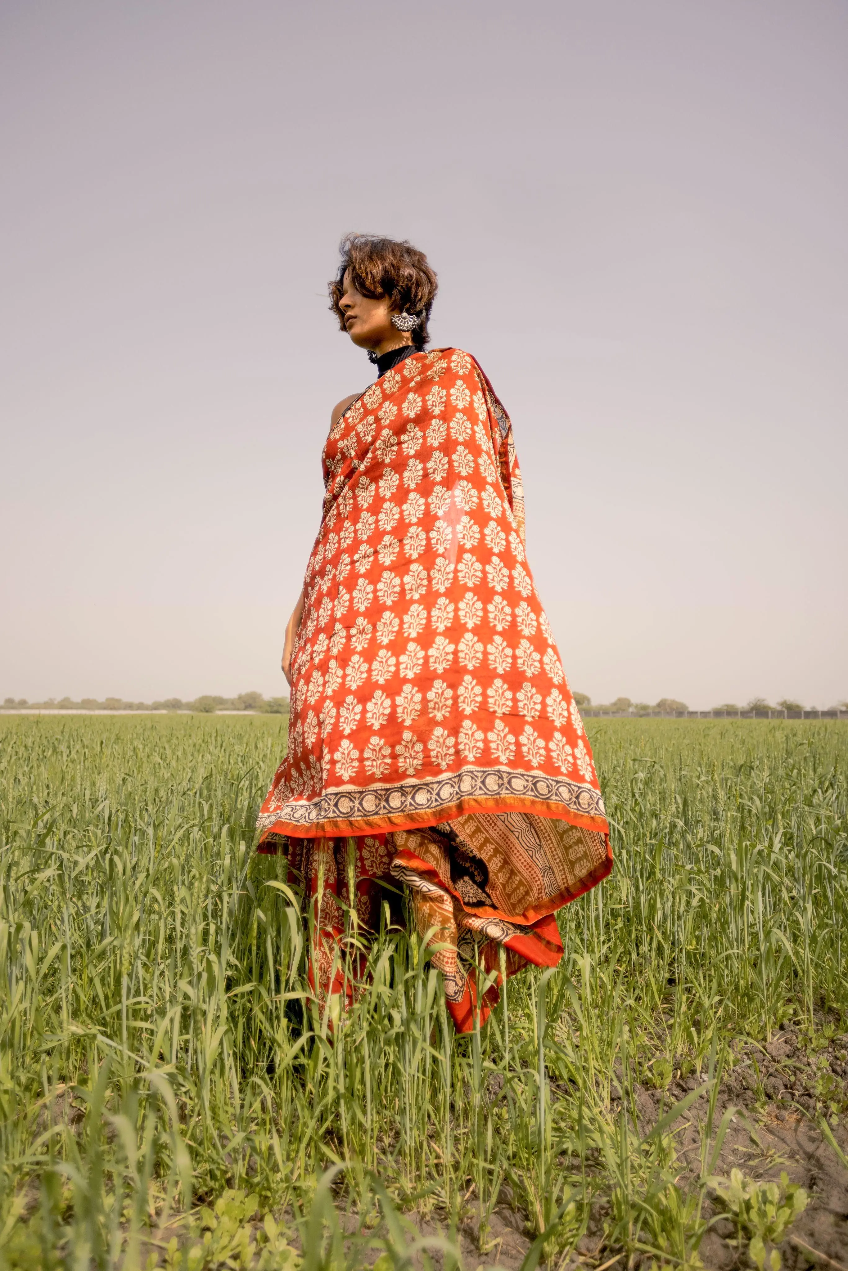 Roheda Mughal Syahi Begar Chanderi Saree